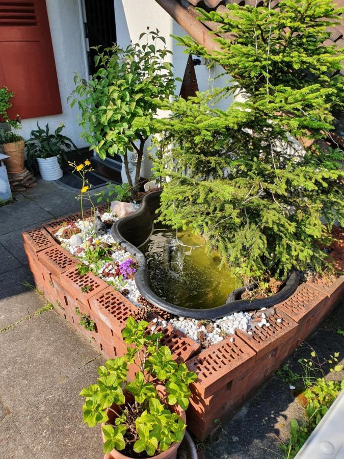 Bnb Haus Weibel Landquart Exterior foto